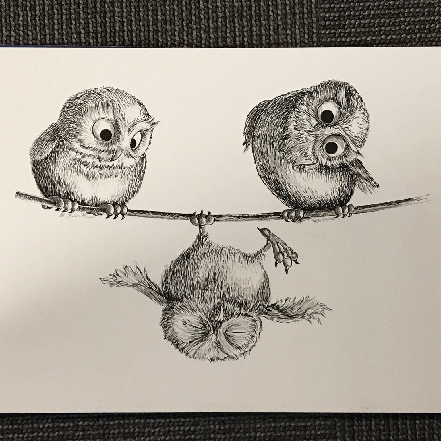 Pen and ink drawing of three owls on a branch