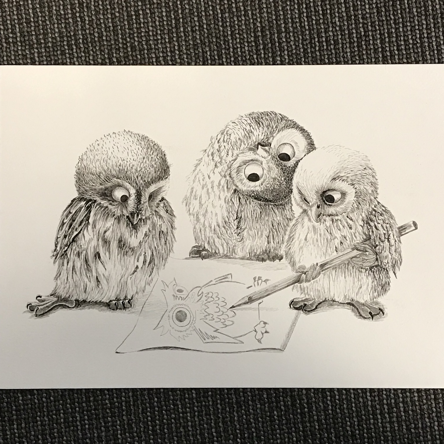 Three owls looking at a drawing
